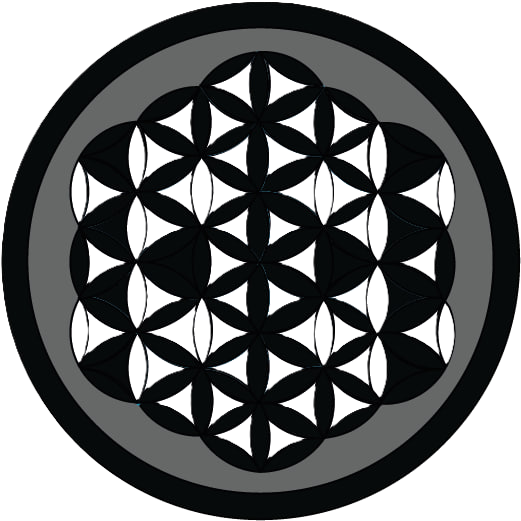 Nueva Vida Logo